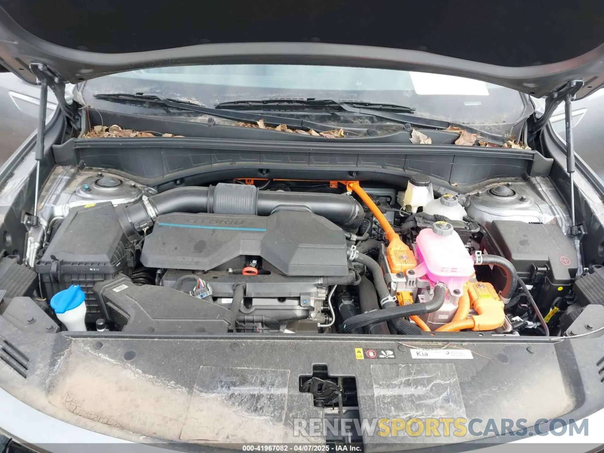 10 fotografías del automóvil dañado KNDRHDLG6P5209630 KIA SORENTO HYBRID 2023