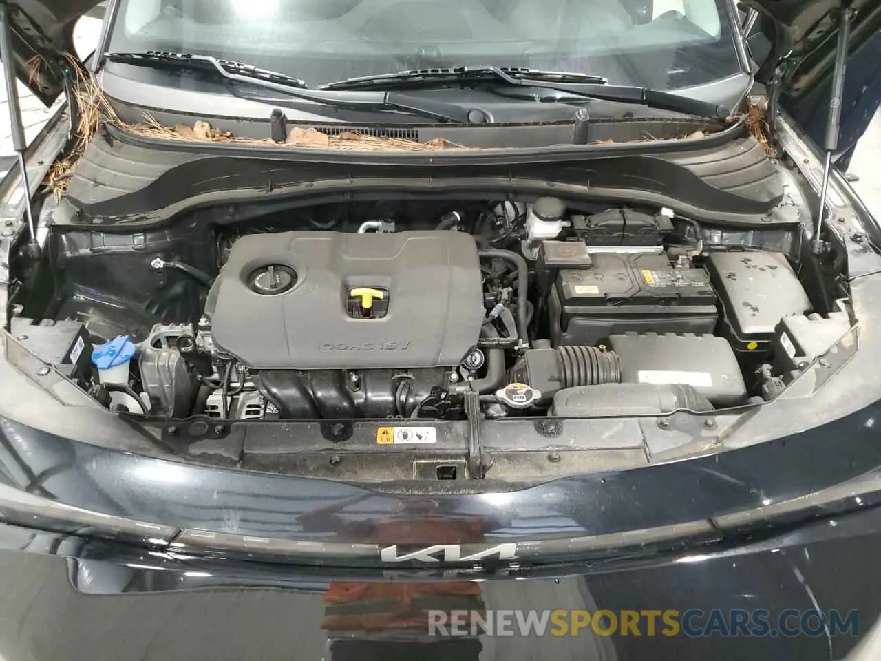 12 fotografías del automóvil dañado KNDJ23AU6P7840142 KIA SOUL 2023