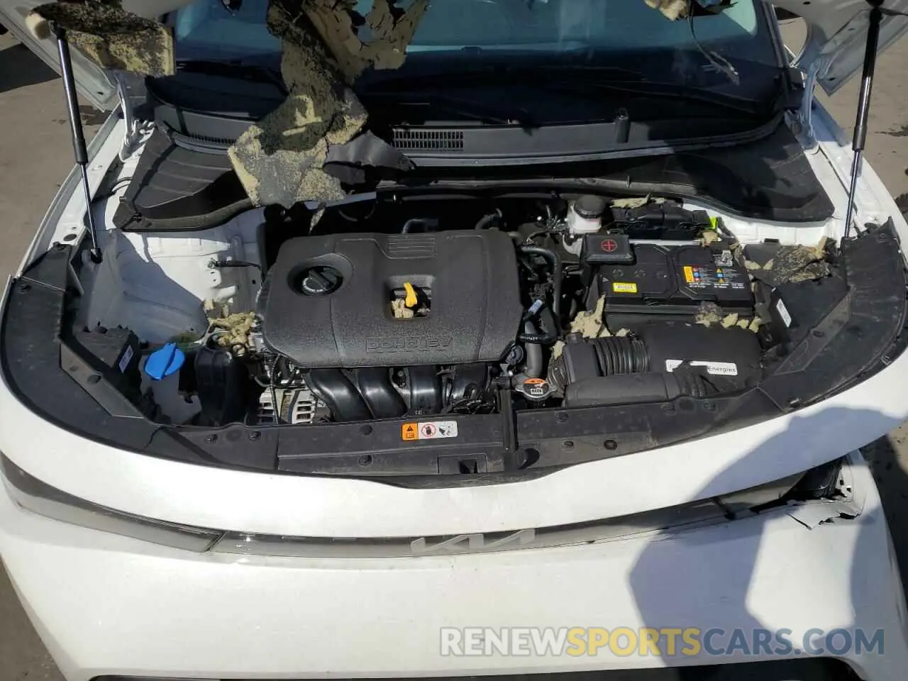 12 fotografías del automóvil dañado KNDJ23AU2R7231343 KIA SOUL 2024