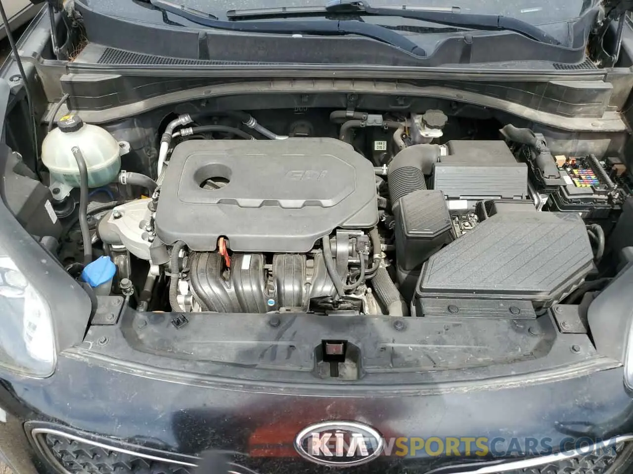 13 fotografías del automóvil dañado KNDPM3AC1K7619276 KIA SPORTAGE 2019
