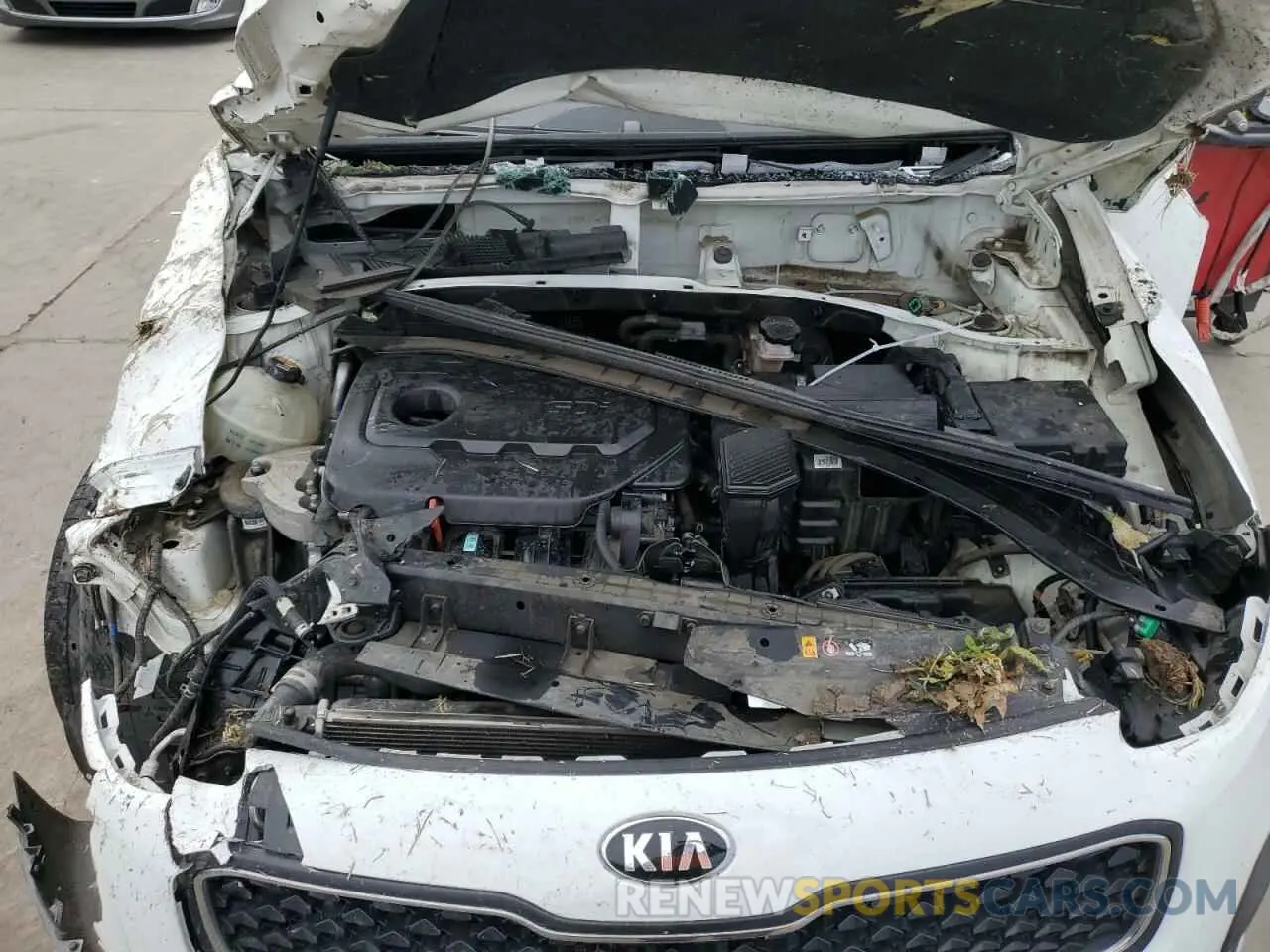 12 fotografías del automóvil dañado KNDPM3AC1K7623957 KIA SPORTAGE 2019