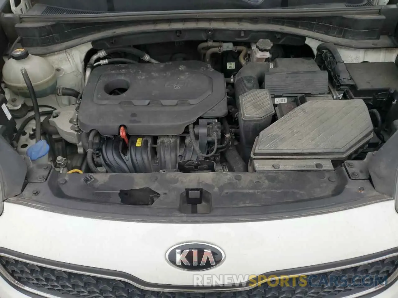 12 fotografías del automóvil dañado KNDPM3AC4K7527014 KIA SPORTAGE 2019