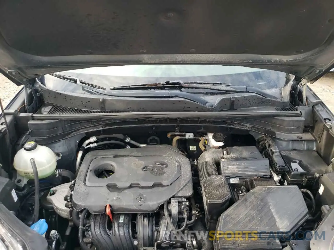 12 fotografías del automóvil dañado KNDPM3AC4K7576326 KIA SPORTAGE 2019