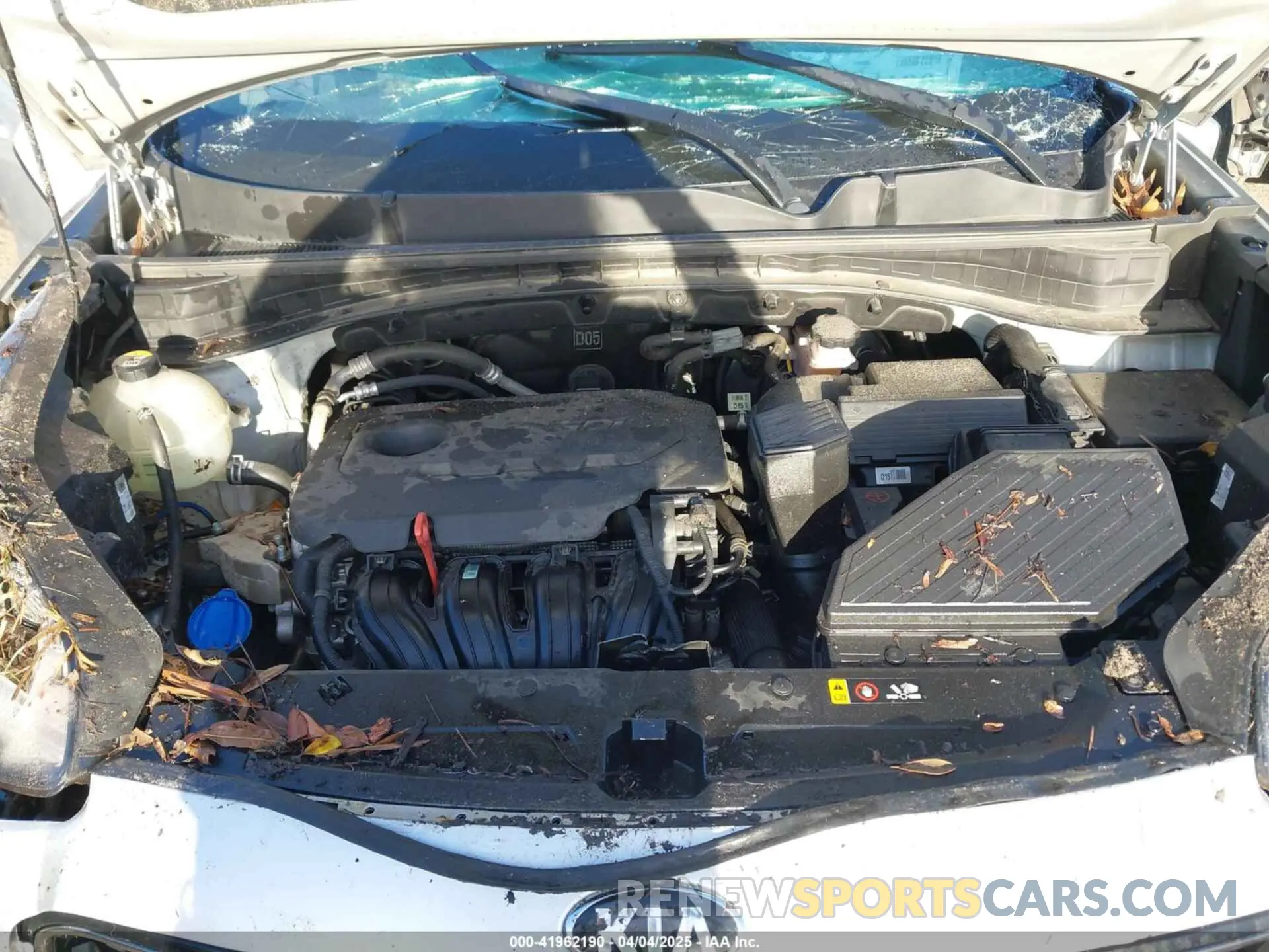 10 fotografías del automóvil dañado KNDPM3AC8K7591055 KIA SPORTAGE 2019