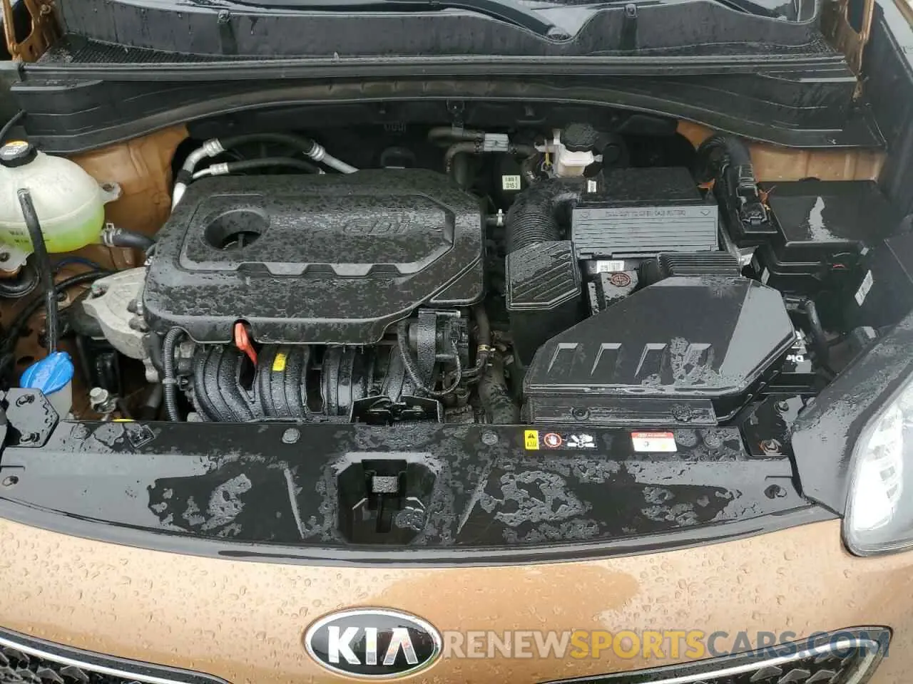 12 fotografías del automóvil dañado KNDPMCAC0K7609709 KIA SPORTAGE 2019