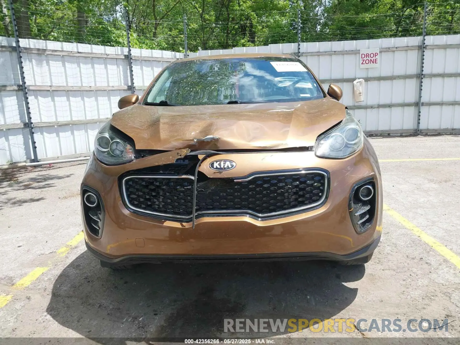 12 fotografías del automóvil dañado KNDPMCAC1K7615602 KIA SPORTAGE 2019