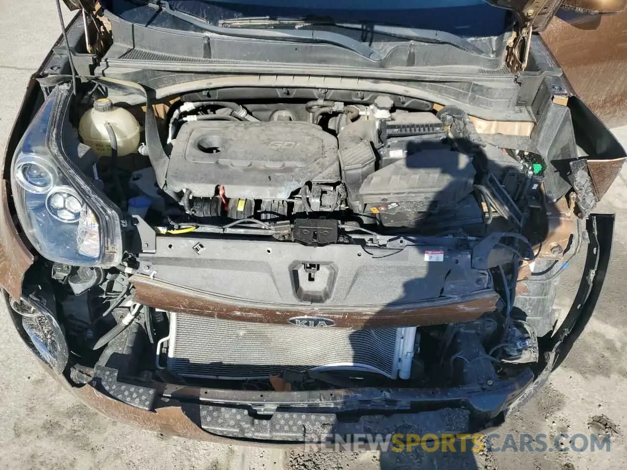 12 fotografías del automóvil dañado KNDPMCAC5K7626554 KIA SPORTAGE 2019