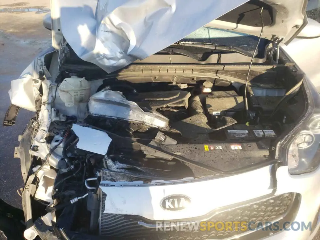 12 fotografías del automóvil dañado KNDPMCAC7K7591077 KIA SPORTAGE 2019