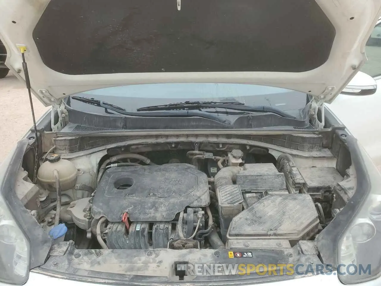 12 fotografías del automóvil dañado KNDPN3AC0K7570116 KIA SPORTAGE 2019