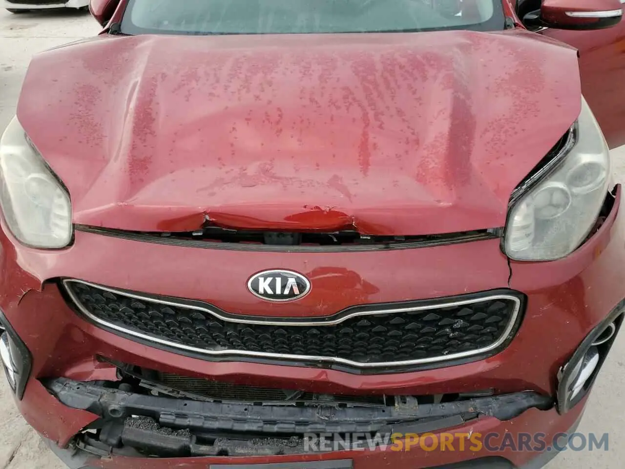 12 fotografías del automóvil dañado KNDPN3AC8K7531502 KIA SPORTAGE 2019