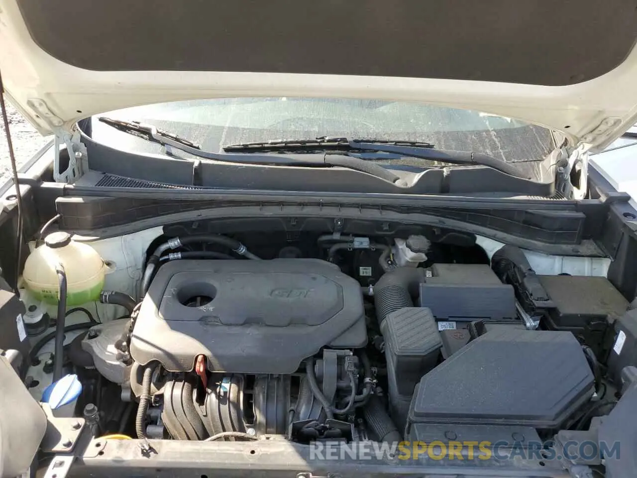 12 fotografías del automóvil dañado KNDPN3AC8K7560353 KIA SPORTAGE 2019
