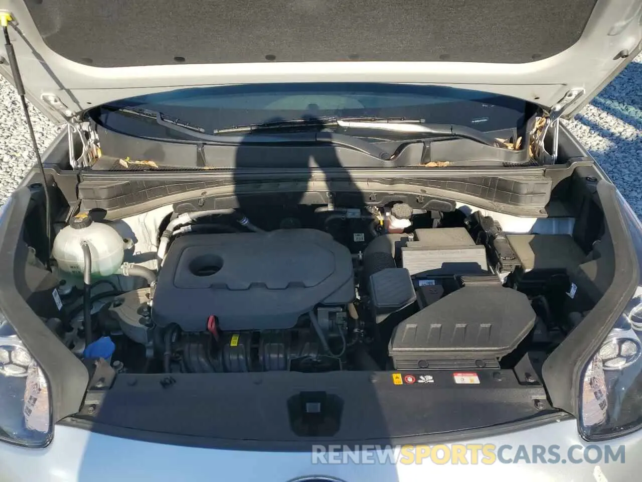 12 fotografías del automóvil dañado KNDPNCAC7K7579363 KIA SPORTAGE 2019