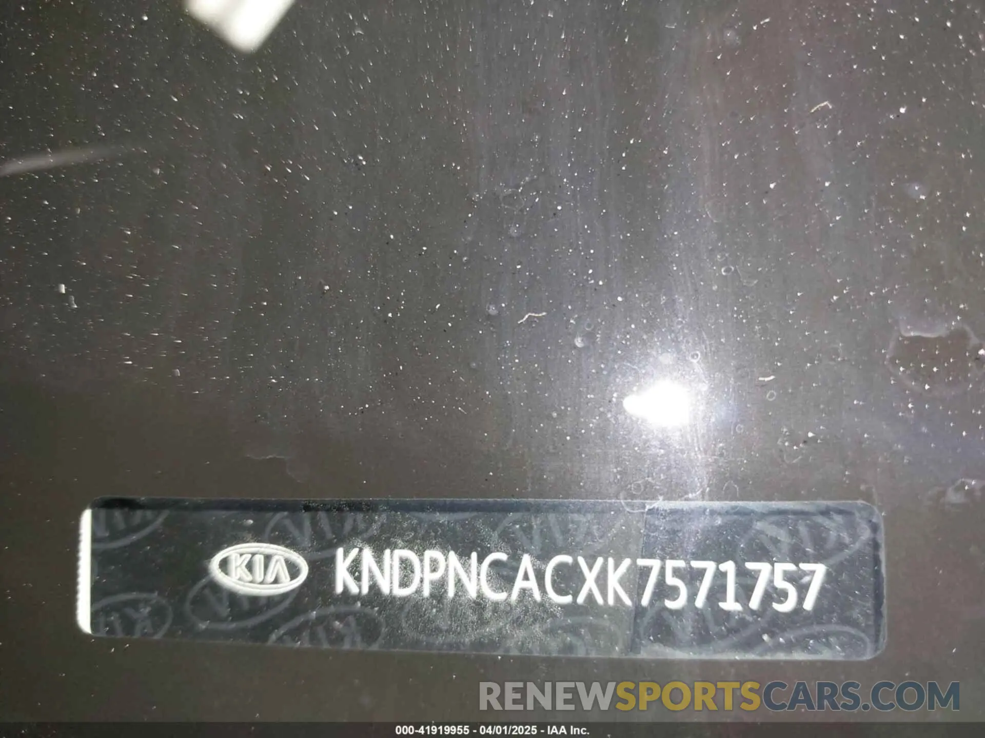 17 fotografías del automóvil dañado KNDPNCACXK7571757 KIA SPORTAGE 2019
