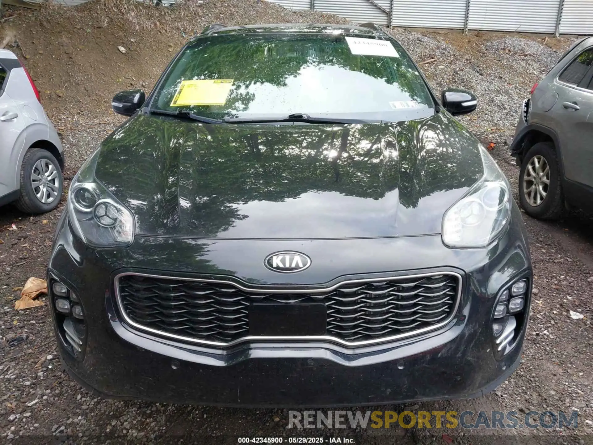 12 fotografías del automóvil dañado KNDPRCA62K7616978 KIA SPORTAGE 2019