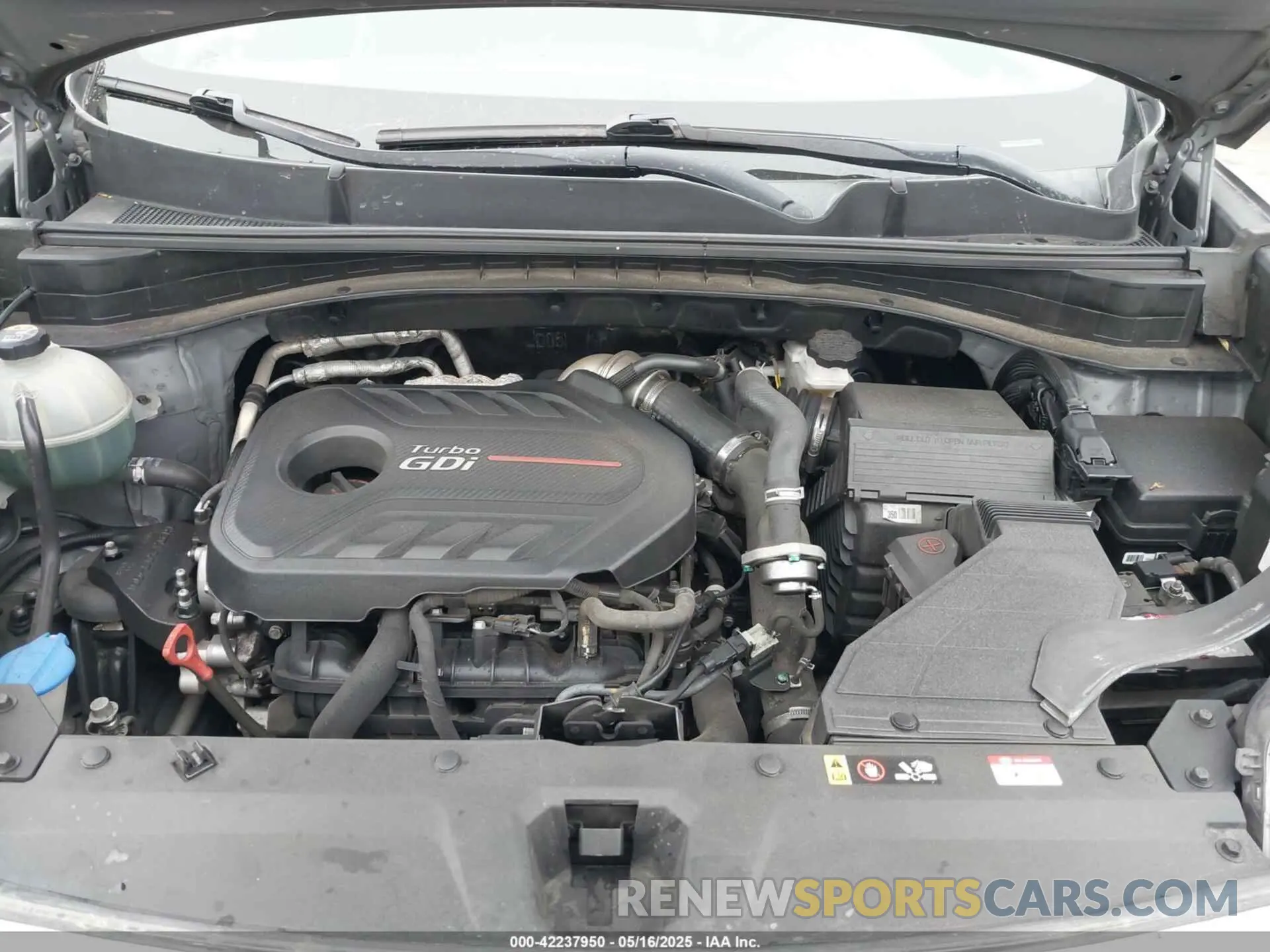 10 fotografías del automóvil dañado KNDPRCA69K7540272 KIA SPORTAGE 2019