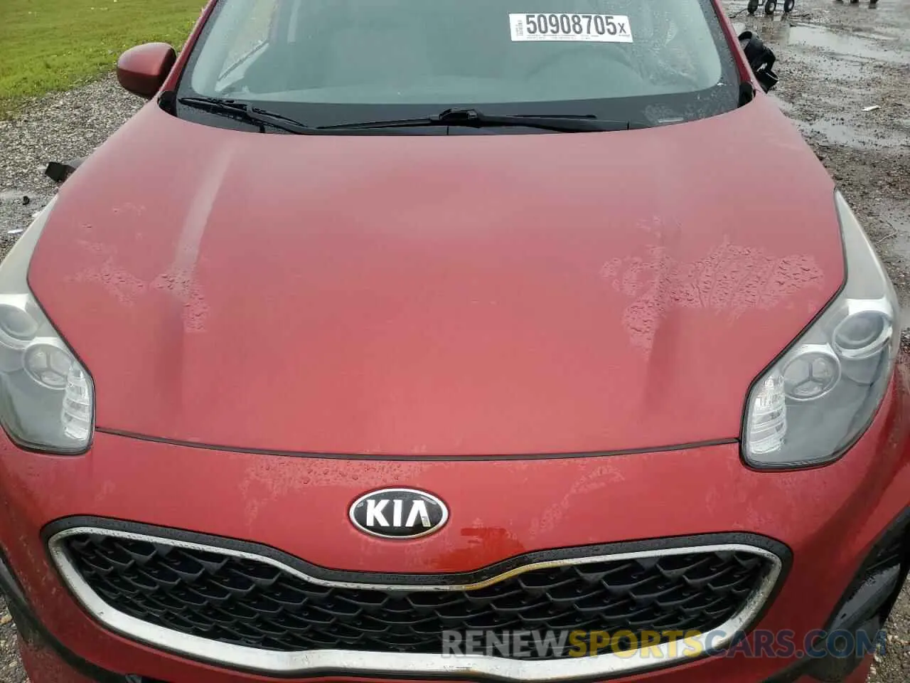 13 fotografías del automóvil dañado KNDPM3AC7L7744512 KIA SPORTAGE 2020