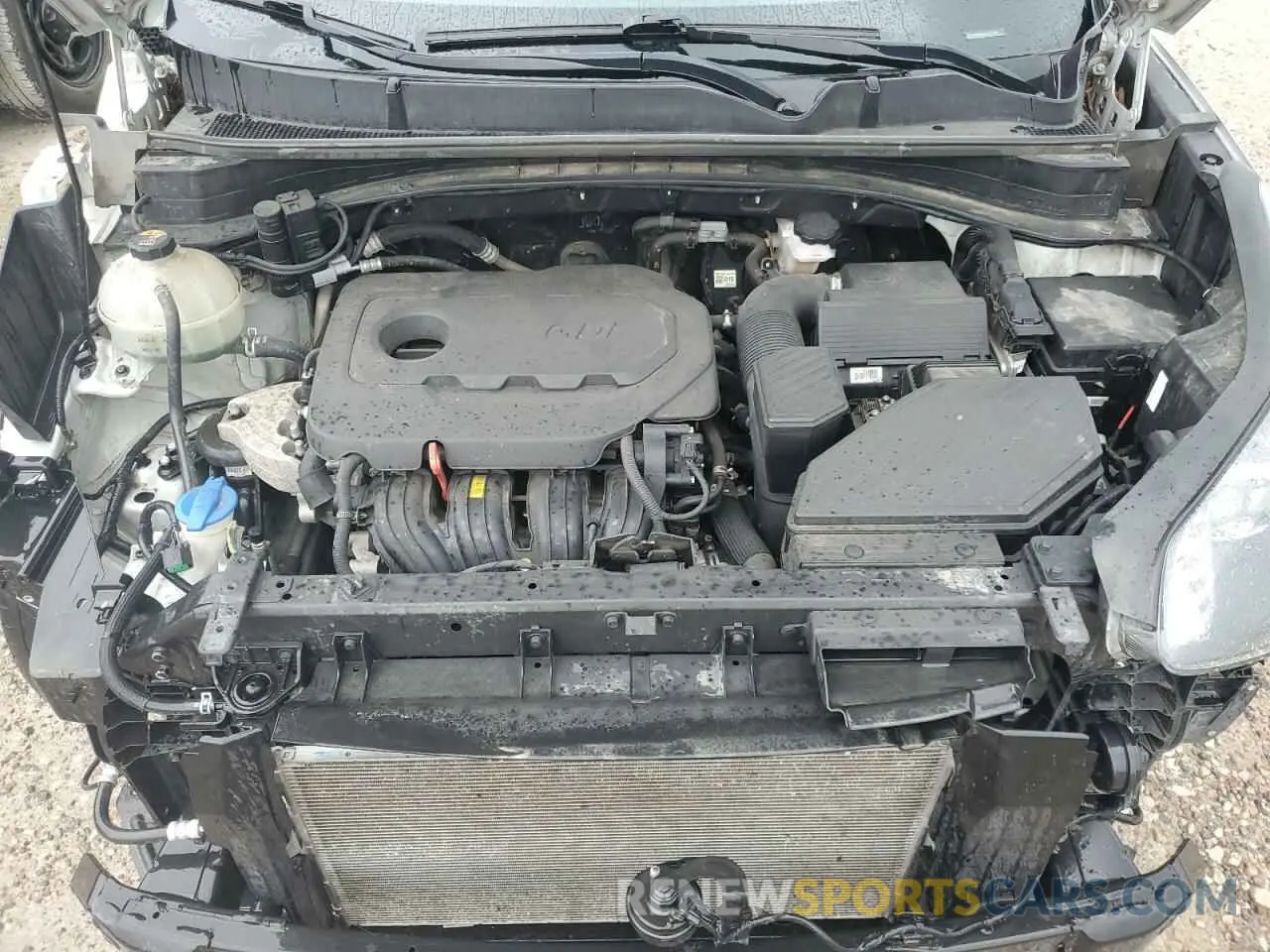 12 fotografías del automóvil dañado KNDPM3AC7L7773783 KIA SPORTAGE 2020