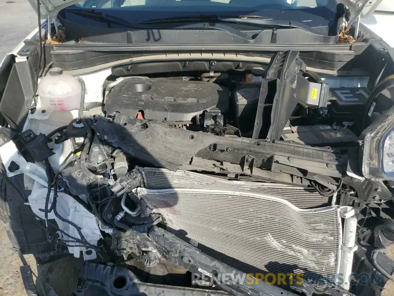 12 fotografías del automóvil dañado KNDPM3AC0M7893670 KIA SPORTAGE 2021