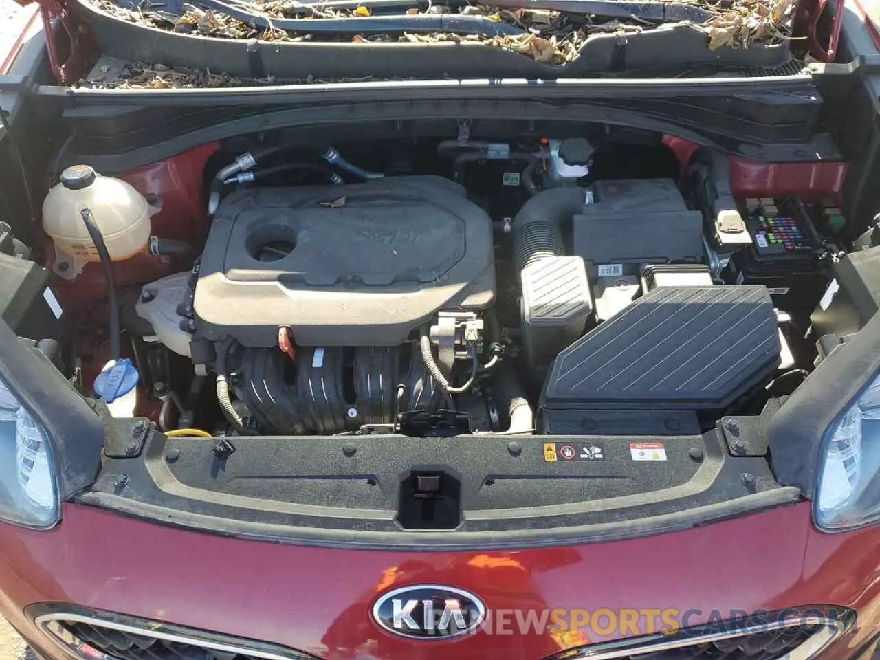 12 fotografías del automóvil dañado KNDPM3AC3M7861263 KIA SPORTAGE 2021