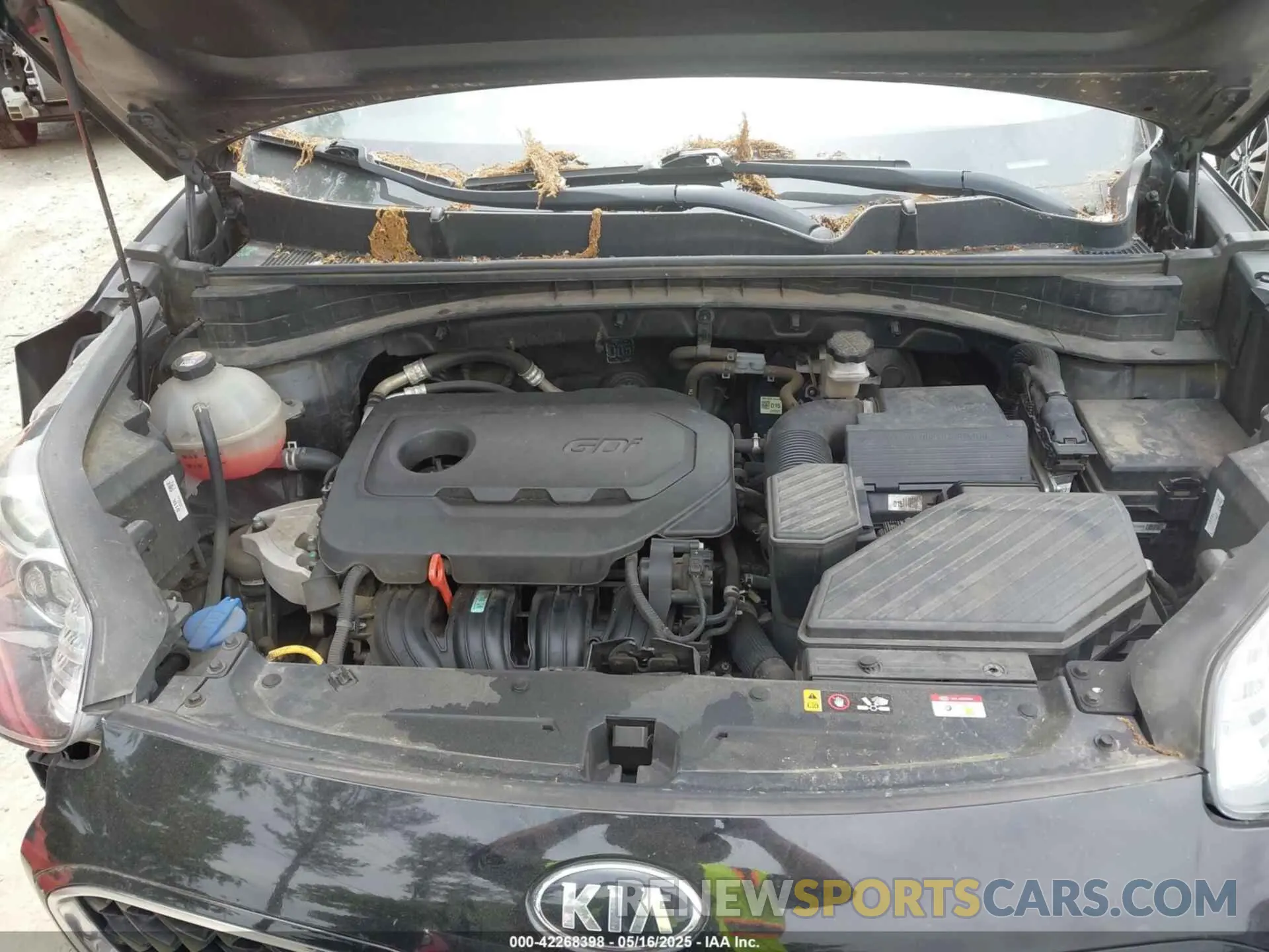 10 fotografías del automóvil dañado KNDPM3AC5M7930664 KIA SPORTAGE 2021
