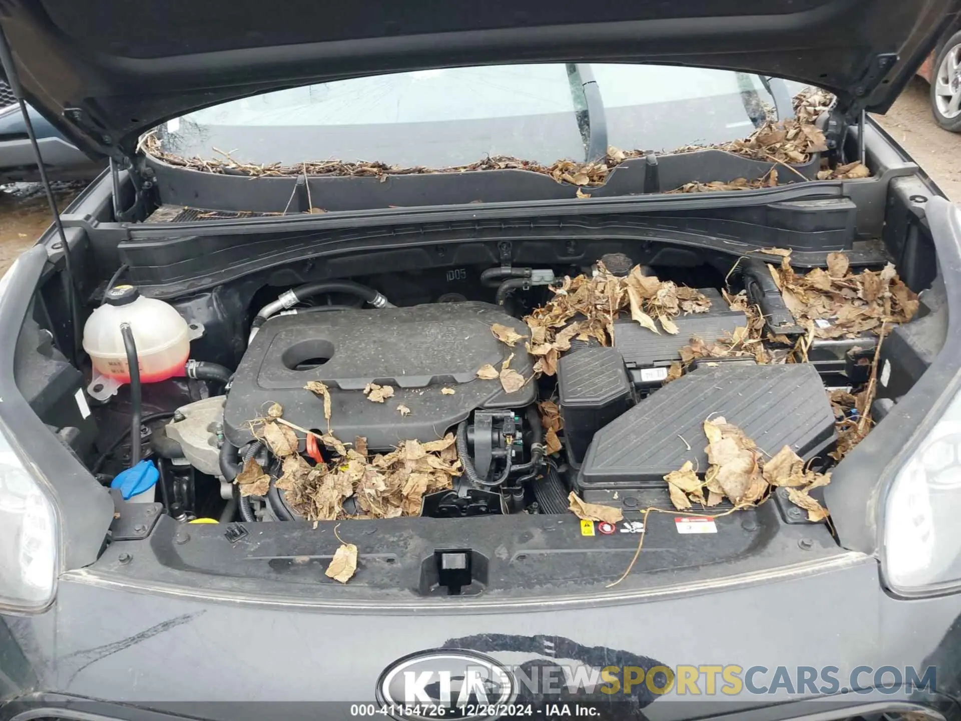10 fotografías del automóvil dañado KNDPM3AC7M7879104 KIA SPORTAGE 2021