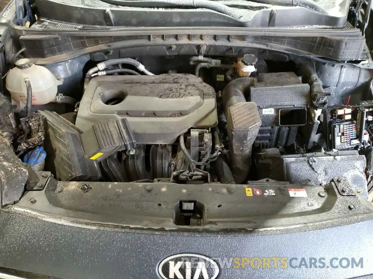 12 fotografías del automóvil dañado KNDPM3ACXM7911592 KIA SPORTAGE 2021