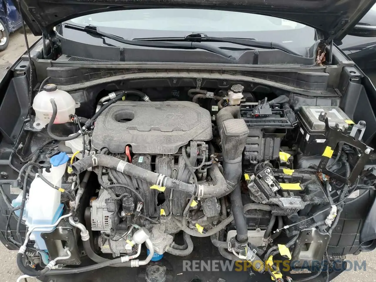12 fotografías del automóvil dañado KNDPMCAC0M7909785 KIA SPORTAGE 2021