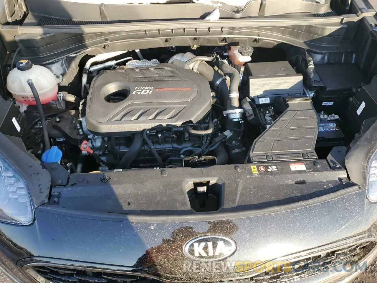 12 fotografías del automóvil dañado KNDPRCA61M7885220 KIA SPORTAGE 2021