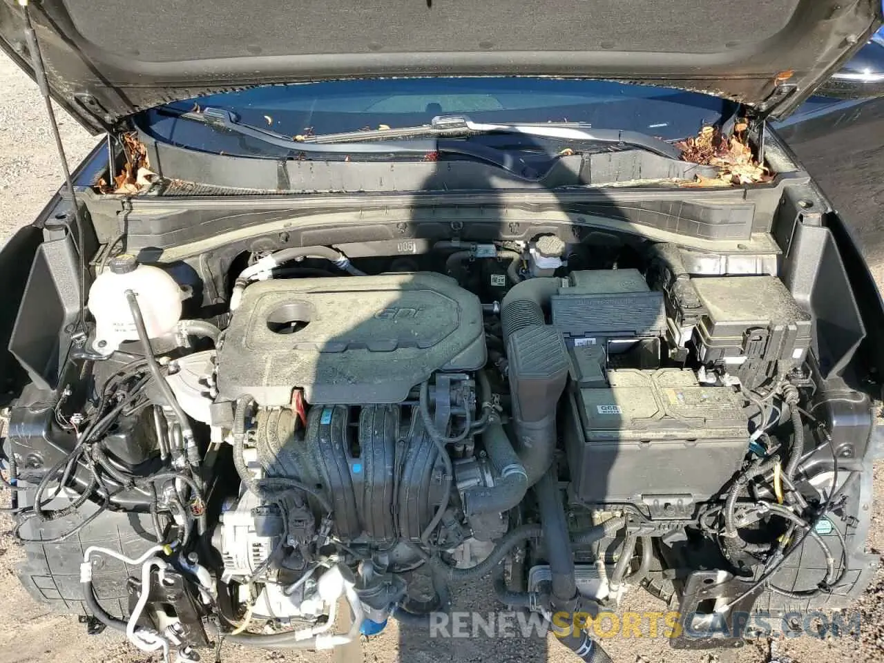 12 fotografías del automóvil dañado KNDP63AC1N7987438 KIA SPORTAGE 2022