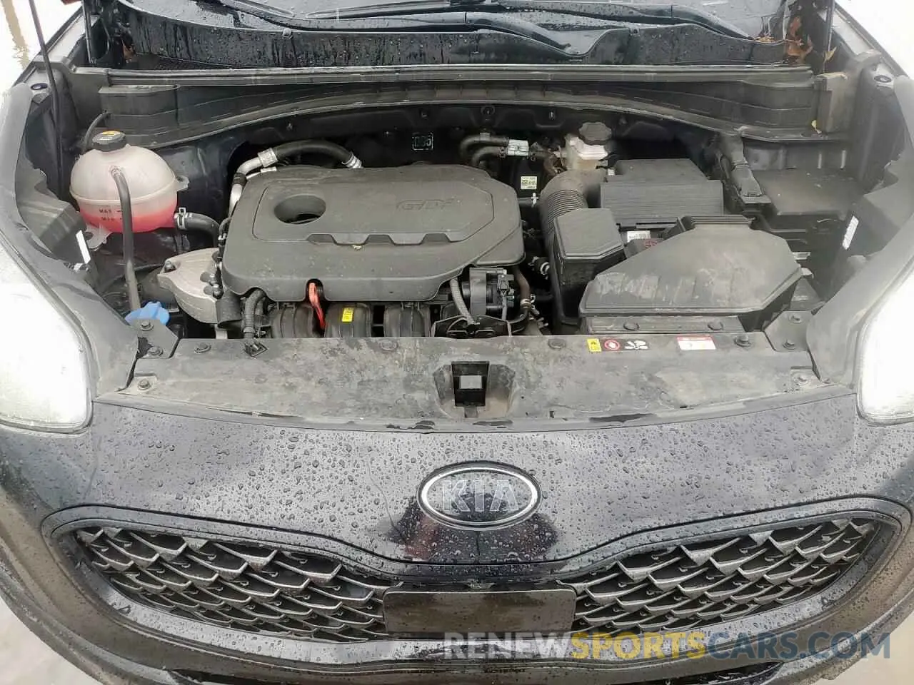 12 fotografías del automóvil dañado KNDP6CAC2N7021759 KIA SPORTAGE 2022