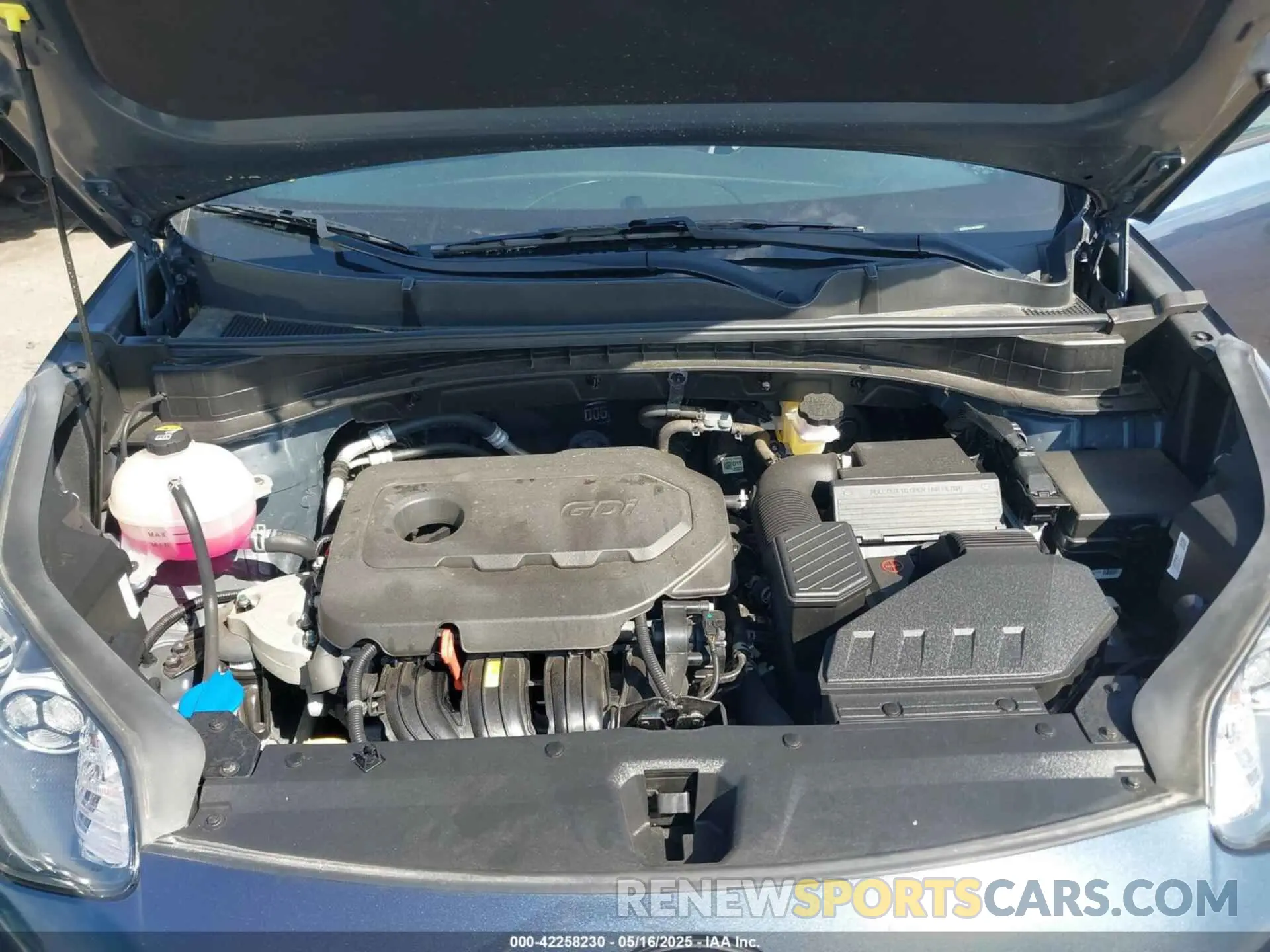 10 fotografías del automóvil dañado KNDP6CAC4N7002954 KIA SPORTAGE 2022
