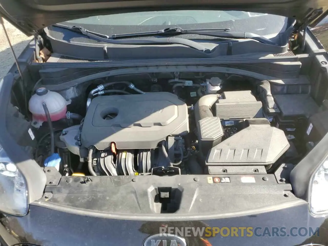 12 fotografías del automóvil dañado KNDP6CAC4N7988454 KIA SPORTAGE 2022