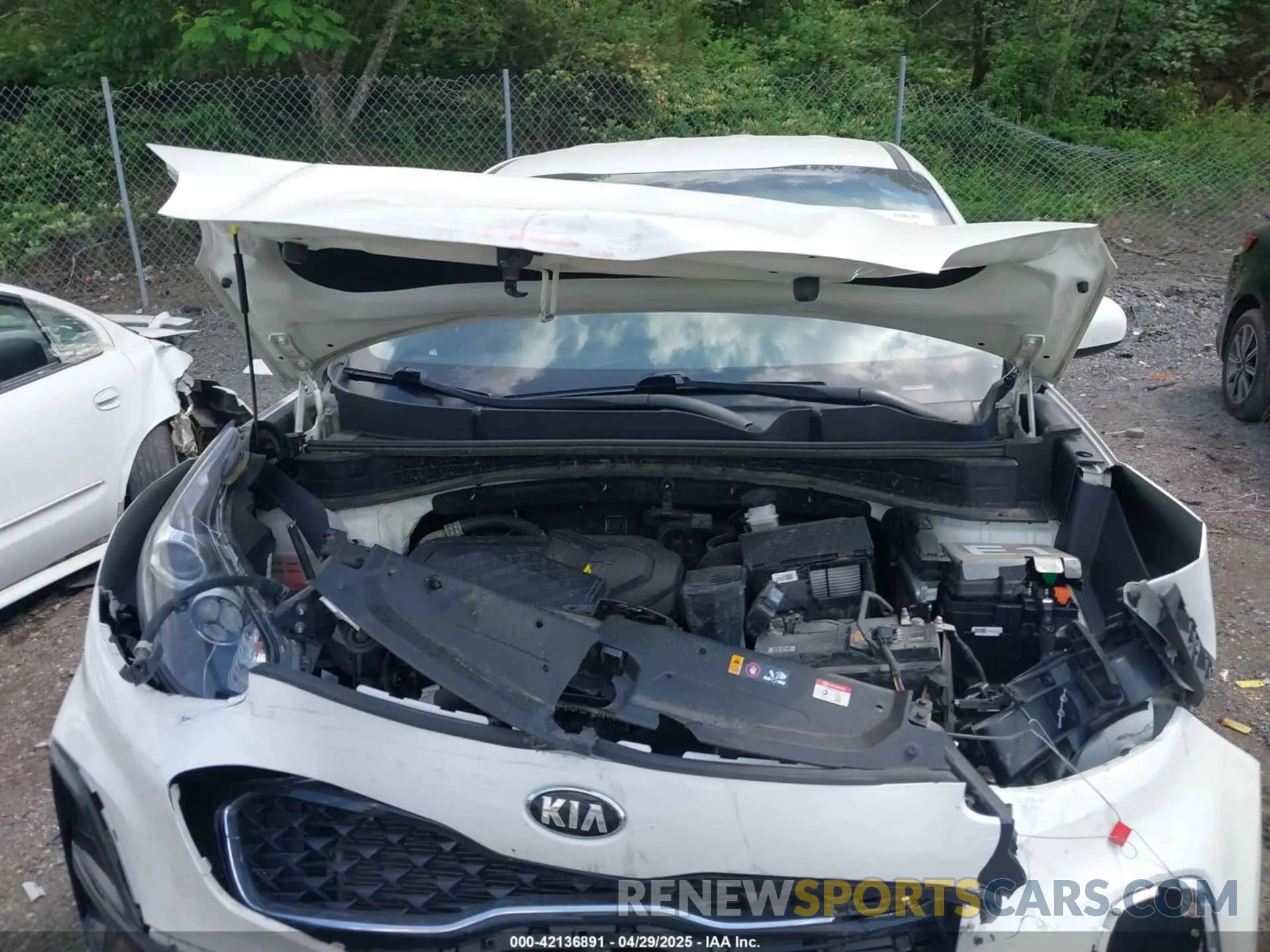 10 fotografías del automóvil dañado KNDPM3AC5N7026900 KIA SPORTAGE 2022