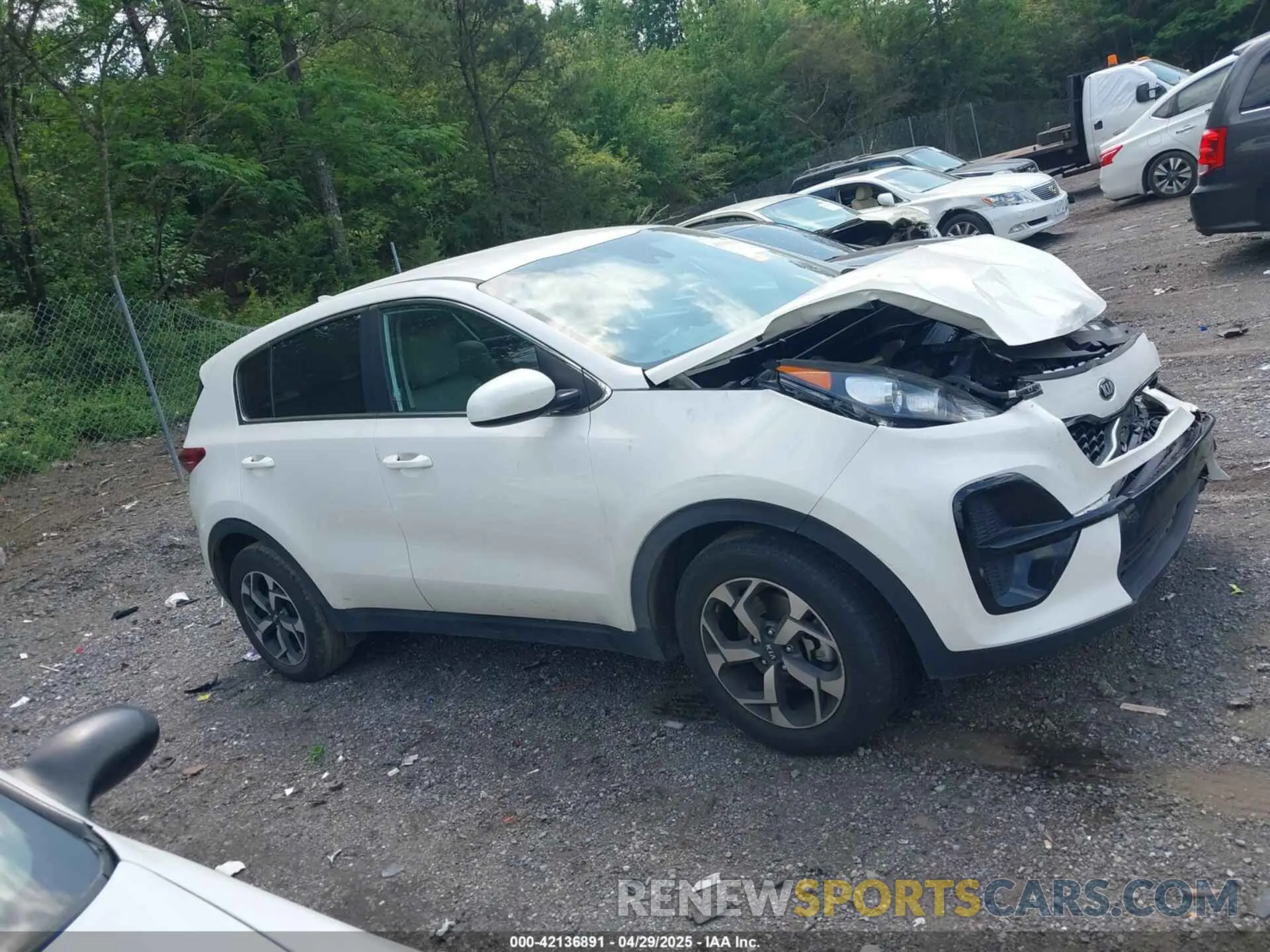 13 fotografías del automóvil dañado KNDPM3AC5N7026900 KIA SPORTAGE 2022