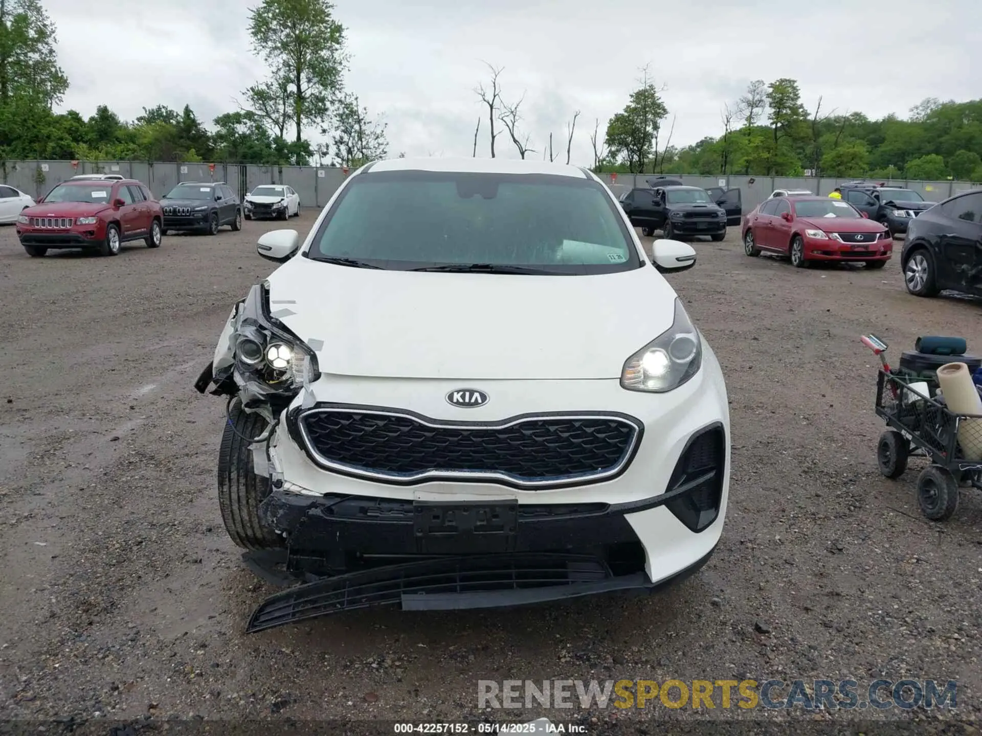 12 fotografías del automóvil dañado KNDPM3AC7N7013520 KIA SPORTAGE 2022