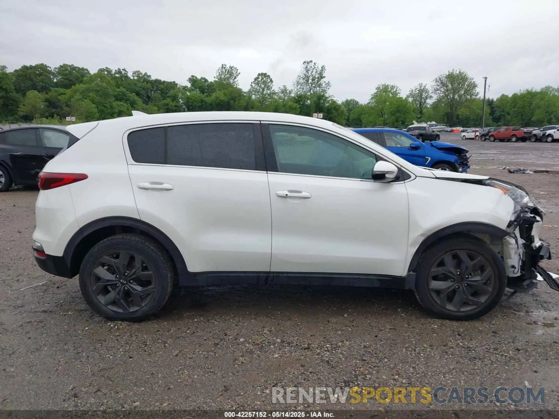 13 fotografías del automóvil dañado KNDPM3AC7N7013520 KIA SPORTAGE 2022