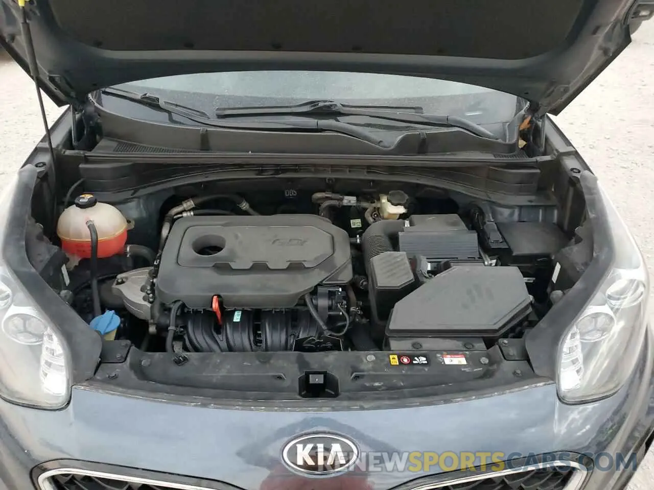 12 fotografías del automóvil dañado KNDPM3AC8N7983991 KIA SPORTAGE 2022