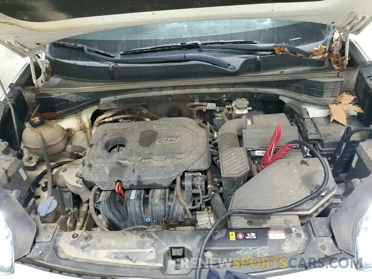 12 fotografías del automóvil dañado KNDPM3AC9N7957125 KIA SPORTAGE 2022