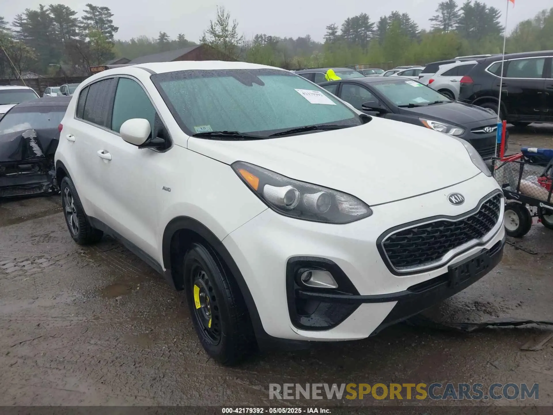 13 fotografías del automóvil dañado KNDPMCAC7N7008656 KIA SPORTAGE 2022