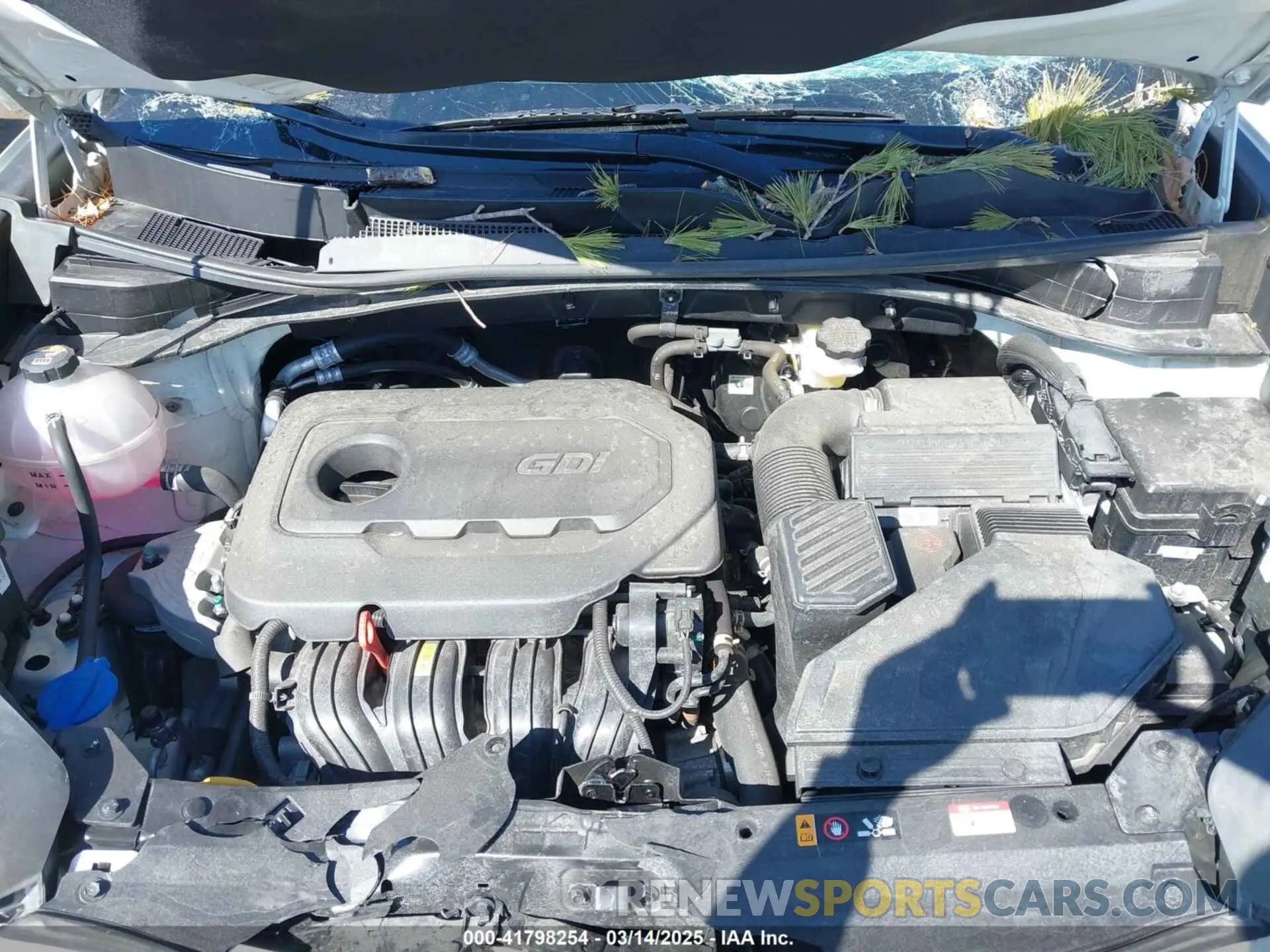 10 fotografías del automóvil dañado KNDPMCAC7N7025277 KIA SPORTAGE 2022