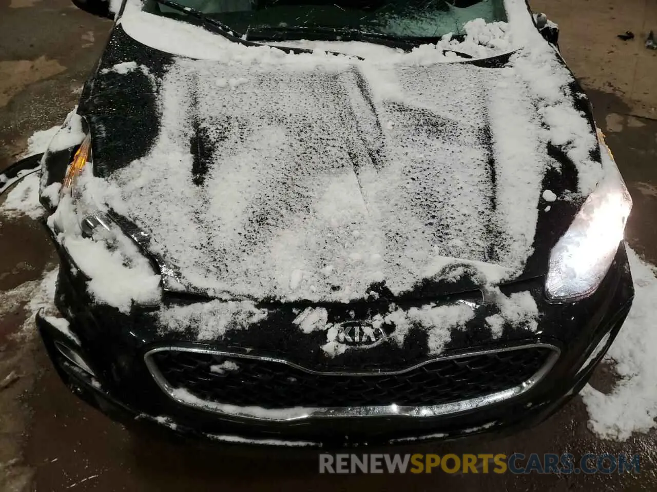 12 fotografías del automóvil dañado KNDPMCAC8N7002736 KIA SPORTAGE 2022