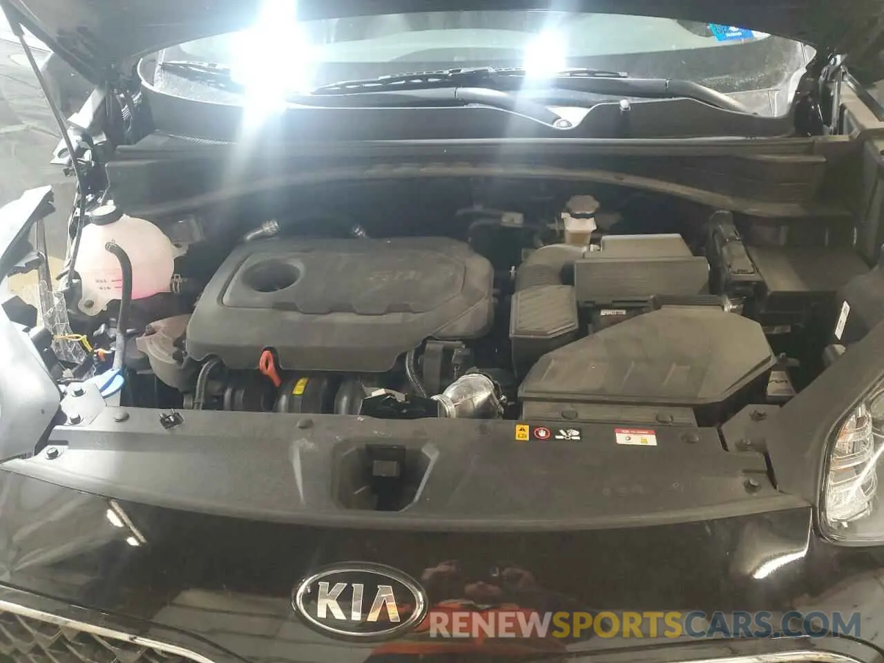 12 fotografías del automóvil dañado KNDPNCAC4N7964500 KIA SPORTAGE 2022