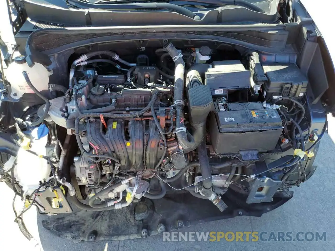 12 fotografías del automóvil dañado KNDPNCAC5N7002044 KIA SPORTAGE 2022