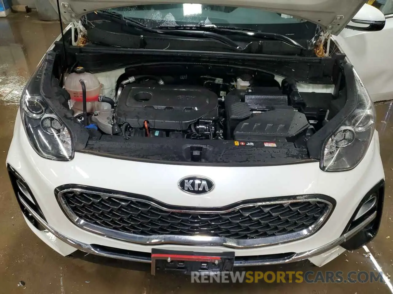 11 fotografías del automóvil dañado KNDPNCAC6N7954955 KIA SPORTAGE 2022