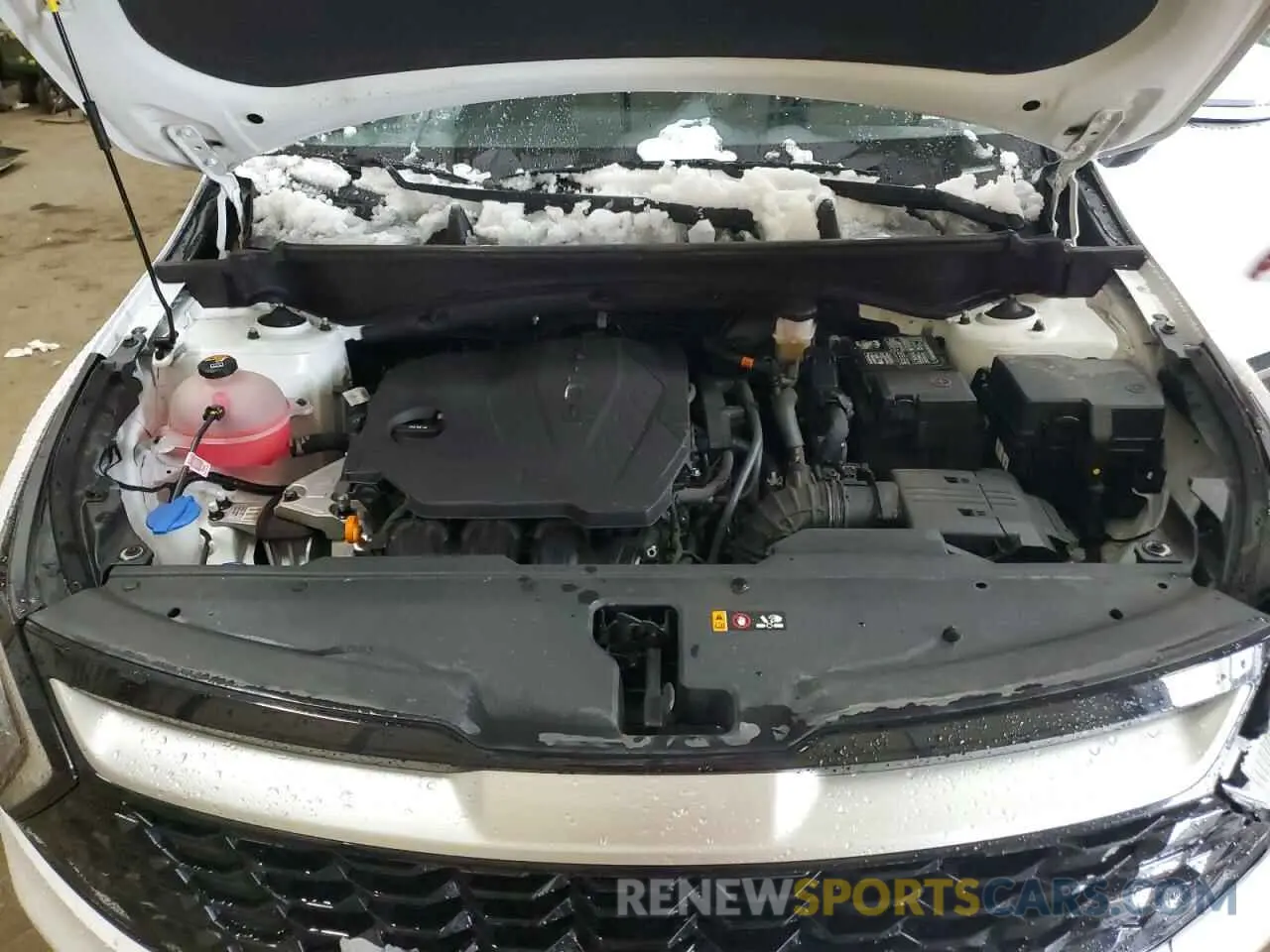 12 fotografías del automóvil dañado 5XYK3CAF9PG113602 KIA SPORTAGE 2023