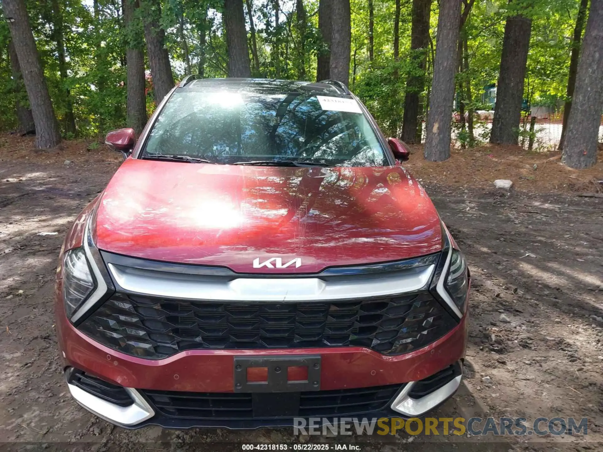 12 fotografías del automóvil dañado 5XYK5CAF7PG077970 KIA SPORTAGE 2023