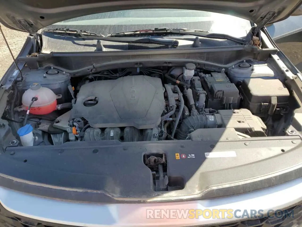 12 fotografías del automóvil dañado KNDPU3AF3P7149995 KIA SPORTAGE 2023