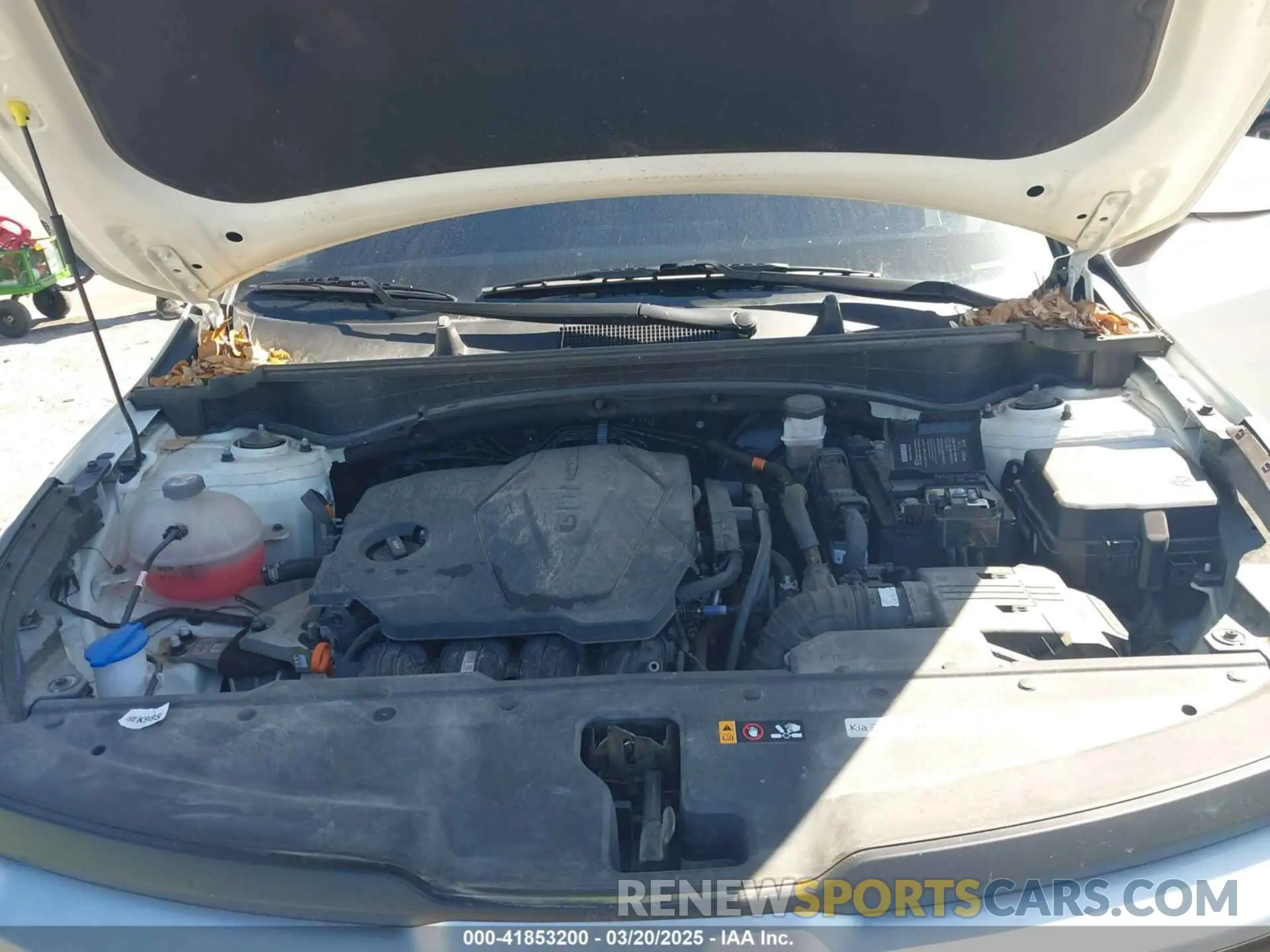 10 fotografías del automóvil dañado KNDPU3AF6P7125111 KIA SPORTAGE 2023