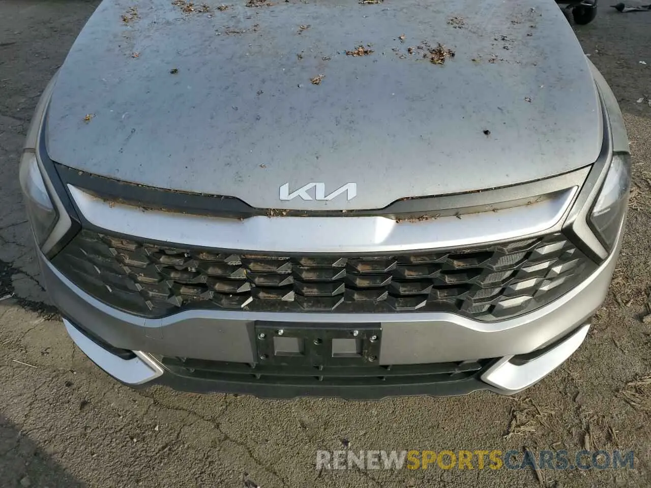 11 fotografías del automóvil dañado KNDPUCAF2P7135814 KIA SPORTAGE 2023
