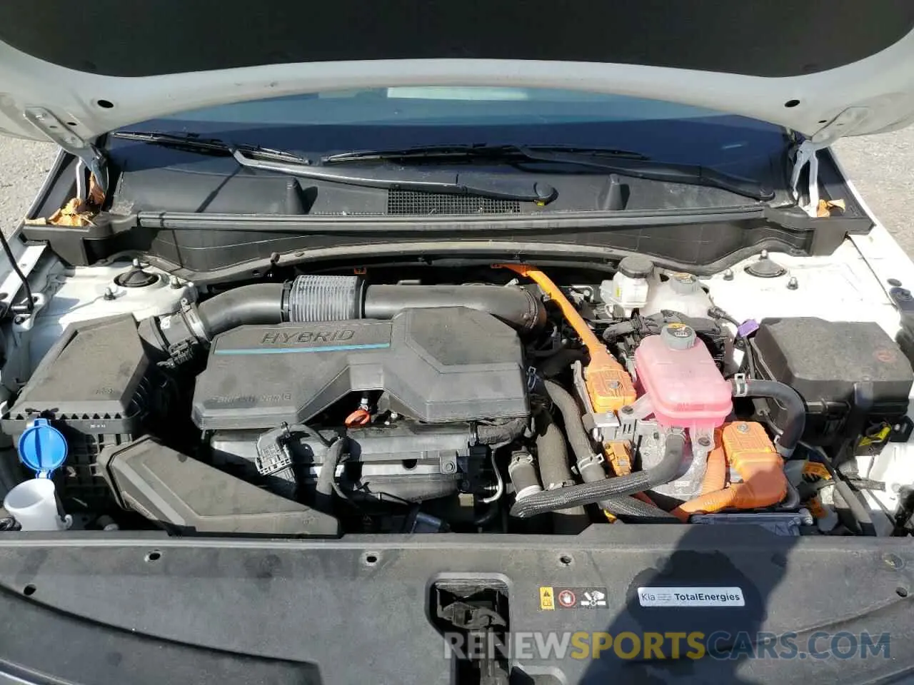 14 fotografías del automóvil dañado KNDPUCAG1P7063206 KIA SPORTAGE 2023